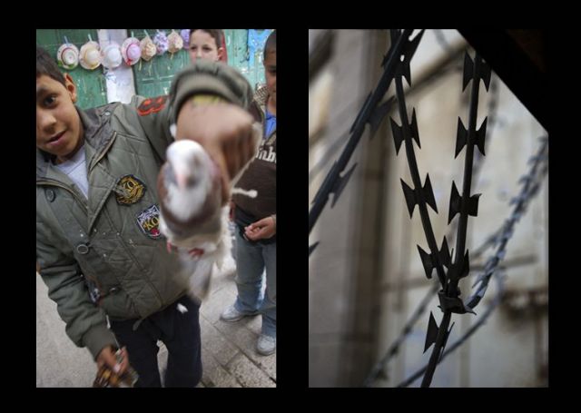 Ισραήλ και παλαιστινιακές Αρχές «παραβιάζουν τα ανθρώπινα δικαιώματα» λέει ο ΟΗΕ